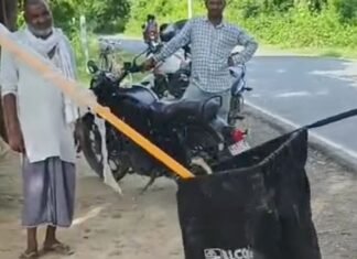 चाय की दुकान से जहरीला फुरसा सांप रेस्क्यू:जरवा में पकड़ा गया, आरक्षित वन क्षेत्र में छोड़ा; 4 दिन पहले सांप काटने से हुई थी मौत
