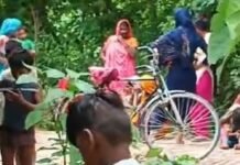 श्रावस्ती में नाले किनारे झाड़ियों में अजगर मिलने से हड़कंप:ग्रामीणों में दहशत, वन विभाग को रेस्क्यू के लिए बुलाया गया