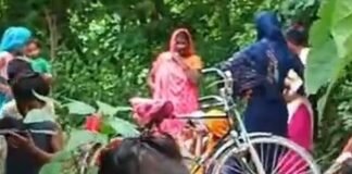 श्रावस्ती में नाले किनारे झाड़ियों में अजगर मिलने से हड़कंप:ग्रामीणों में दहशत, वन विभाग को रेस्क्यू के लिए बुलाया गया