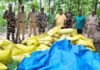Maharajganj News | Sonauli Border Urea Fertilizer Smuggling Seized