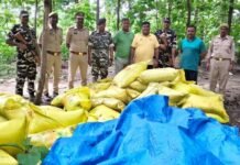 Maharajganj News | Sonauli Border Urea Fertilizer Smuggling Seized