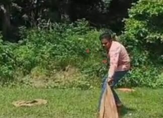 रिसॉर्ट के पास निकला विशालकाय अजगर:वन विभाग ने रेस्क्यू कर जंगल में छोड़ा, लोगों ने ली राहत की सांस