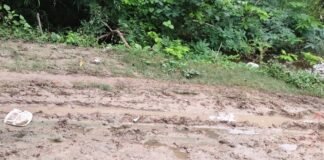 शिवपुरी बैरागी में संपर्क मार्ग पर पानी भरा:आवागमन ठप, बच्चों को 2 किलोमीटर घूमकर जाना पड़ रहा; ग्रामीण परेशान