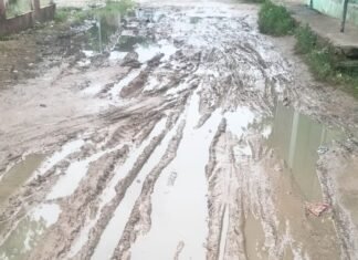 सर्रा कलां में सड़क पर गहरे गड्ढे, आवागमन ठप:मंदिर चौराहा से जंगल किनारे जाने वाला रास्ता कीचड़ से भरा
