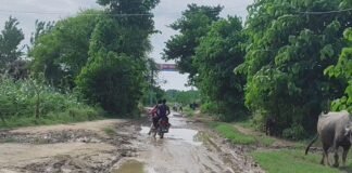 नानपारा-नेवादा मार्ग पर घुटनों तक पानी भरा:ग्रामीणों और स्कूली बच्चों को आने-जाने में परेशानी, लोगों ने की मरम्मत की मांग