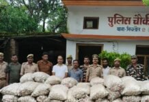 महराजगंज में SSB-पुलिस ने 119 बोरा चाइनीज लहसुन पकड़ा:नेपाल से तस्करी कर लाया गया था, एक गिरफ्तार; घर में छिपाकर रखा था 3.3 टन माल