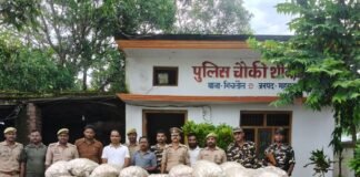 महराजगंज में 119 बोरी चाइनीज लहसुन जब्त, एक हिरासत में:नेपाल के रास्ते लाई गई खेप, पुलिस-एसएसबी की संयुक्त कार्रवाई