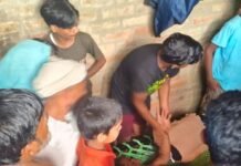 घर के बिजली तार की चपेट में आया बुजुर्ग, झुलसा:बहराइच के बहादुरपुरवा में हादसा, परिवार ने तुरंत बिजली लाइन काटी