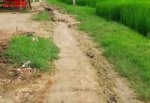 बेलहरी ग्राम पंचायत से होकर गुजरने वाली सड़क खराब:जगह-जगह गड्ढे और कीचड़ से आवागमन मुश्किल; लोगों ने मरम्मत की मांग की