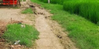 बेलहरी ग्राम पंचायत से होकर गुजरने वाली सड़क खराब:जगह-जगह गड्ढे और कीचड़ से आवागमन मुश्किल; लोगों ने मरम्मत की मांग की