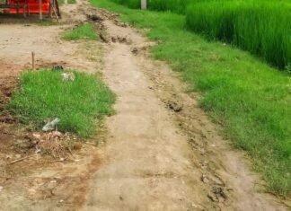 बेलहरी ग्राम पंचायत से होकर गुजरने वाली सड़क खराब:जगह-जगह गड्ढे और कीचड़ से आवागमन मुश्किल; लोगों ने मरम्मत की मांग की