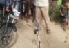 हुकुम सिंह के घर में निकला कोबरा सांप:वन विभाग की टीम ने रेस्क्यू कर जंगल में छोड़ा