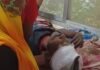 कटहरा खास रोड पर टेंपो ने पैदल युवक को रौंदा:महराजगंज जिला अस्पताल में भर्ती, हालत गंभीर