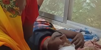 कटहरा खास रोड पर टेंपो ने पैदल युवक को रौंदा:महराजगंज जिला अस्पताल में भर्ती, हालत गंभीर