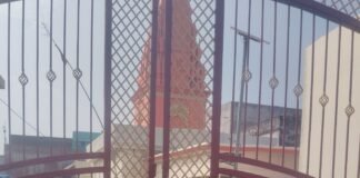 Krishna Janmashtami 2026 | Dehat Temples Celebration & Puja Updates