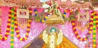 महाराजगंज खाटू श्याम मंदिर में जन्माष्टमी का भव्य आयोजन:स्थानीय लोगों और ग्रामीणों ने बड़ी संख्या में की शिरकत, भजन-कीर्तन और आरती हुई