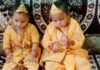 Krishna Janmashtami 2026 | Villagers Prepare Attractive Jhanki Displays