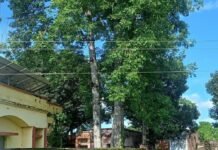 उर्रा CHC के पास 11000 वोल्ट की लाइन खतरनाक:तार नीचे लटकने से एंबुलेंस नहीं निकल पा रही, हादसे का डर
