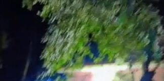 फतेहपुर के खावा कला में जन्माष्टमी का महापर्व मनाया गया:भव्य सांस्कृतिक कार्यक्रम हुए, देर रात तक श्रद्धालुओं ने लिया आनंद