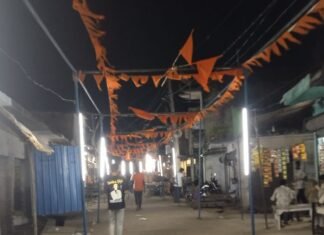 श्रीकृष्ण जन्माष्टमी पर नासिरगंज बाजार रोशनी से जगमगाया:रंग-बिरंगी लाइटों और भगवा ध्वजों से सजाई गईं सड़कें, भक्तों में उत्साह