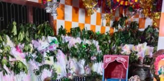 रेहरा बाजार में जन्माष्टमी उत्सव, श्रीकृष्ण के झूले ने मोहा:प्राचीन मंदिर रोशनी से जगमगाए, देर रात तक भक्तों की भीड़ उमड़ी