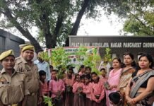 शिक्षक दिवस पर 'एक पेड़ गुरु के नाम' अभियान:चौक के प्राथमिक विद्यालय में हरसिंगार के पौधे लगाए गए, शिक्षकों को भी सम्मानित किया