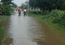 महराजगंज में 5 साल में ही सड़क पर जलभराव:PWD की कार्यशैली पर सवाल, हर दो किलोमीटर पर पानी भरने से लोग परेशान