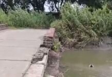 सवरेजी नहर पुल की रेलिंग एक साल से टूटी:हादसे का खतरा बढ़ा, विभाग ने नहीं की कार्रवाई