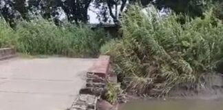 सवरेजी नहर पुल की रेलिंग एक साल से टूटी:हादसे का खतरा बढ़ा, विभाग ने नहीं की कार्रवाई
