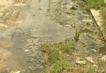 नाली का पानी सड़क पर बहा:जमुनहा के पटना गांव में लोग परेशान; बीमारियों का खतरा बढ़ा, सफाई की मांग