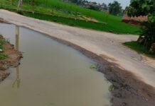भोथीयाही से गुरली सड़क क्षतिग्रस्त:राहगीरों और किसानों को आने-जाने में दिक्कत, बाइक-ट्रैक्टर पलटने का डर