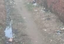 दीकौली के रास्ते पर बह रही खुली नाली:दुर्गंध और मच्छरों से ग्रामीण परेशान, डेंगू-मलेरिया जैसी बीमारियों का खतरा