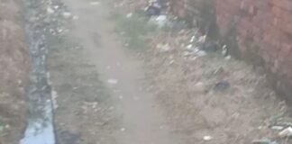 दीकौली के रास्ते पर बह रही खुली नाली:दुर्गंध और मच्छरों से ग्रामीण परेशान, डेंगू-मलेरिया जैसी बीमारियों का खतरा