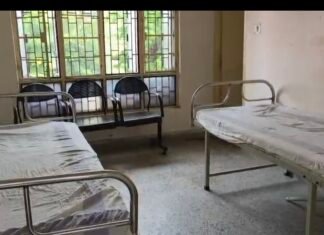 Maharajganj Border Swine Flu Alert