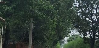 श्रावस्ती में दैनिक भास्कर की खबर का असर:जलभराव वाले रास्ते पर डाली ईंटें; ग्रामीण बोले- अब पक्की सड़क और जलनिकासी का इंतजार