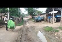 वीरपुर लोकिहा में नाली नहीं:सड़क पर फैला कीचड़, राहगीरों को होती है परेशानी