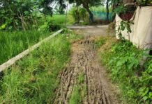 दलित बस्ती से अंबेडकर पार्क का 100 मीटर रास्ता कच्चा:प्रधान के आश्वासन के बाद भी नहीं बना, बारिश में लोग परेशान