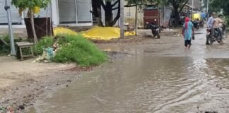 भितेहरा-मुंगरहा मार्ग पर जलभराव से ग्रामीण परेशान:बारिश के बाद सड़क पर पानी भर जाने से आवागमन ठप, नाली बनाने की मांग