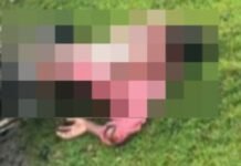 महाराजगंज में आकाशीय बिजली गिरने से साइकिल सवार की मौत:ईंट-भट्ठे से लौट रहे युवक का मोबाइल जला, 3 बच्चों के सिर से उठा पिता का साया