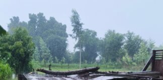 गुलरिया समेत कई गांवों में हुई तेज बारिश:धान, मक्का और केला की फसल को मिला फायदा, किसानों ने बताया अमृत वर्षा