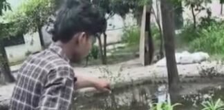 बहराइच में सरकारी स्कूल में घुसा कोबरा:छात्रों और शिक्षकों में हड़कंप, युवक ने सुरक्षित पकड़ा सांप