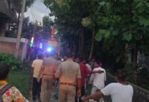 कोठीभार मणि टोला से पुलिस सुरक्षा में निकला जन्माष्टमी जुलूस:डीजे पर थिरके युवा, उड़े अबीर गुलाल; उमड़ी भीड़