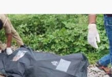 ट्रेन की चपेट में आने से युवती की मौत:नौतनवा के कौलही टोला राजधानी गांव के पास हादसा, घास काटते समय हुआ हादसा