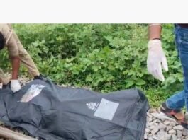 ट्रेन की चपेट में आने से युवती की मौत:नौतनवा के कौलही टोला राजधानी गांव के पास हादसा, घास काटते समय हुआ हादसा