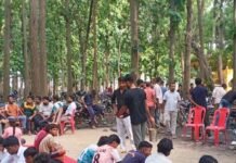 सेना भर्ती में चयन के बाद युवाओं ने कराया भंडारा:सेखुई में सैकड़ों युवाओं को मिली तैयारी की प्रेरणा, इलाके के बच्चों ने लिया हिस्सा