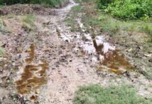 शिवपुरी बैरागी के वन शक्ति माता मंदिर का रास्ता कीचड़:बारिश से सड़क पर फिसलन, स्थानीय लोगों ने मिट्टी डलवाने की मांग की