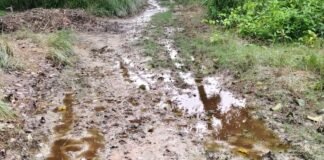 शिवपुरी बैरागी के वन शक्ति माता मंदिर का रास्ता कीचड़:बारिश से सड़क पर फिसलन, स्थानीय लोगों ने मिट्टी डलवाने की मांग की