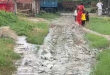 मसही गांव की सड़क बारिश से बदहाल:कीचड़-गंदगी से आवागमन ठप; सांसद-विधायक से मरम्मत की मांग