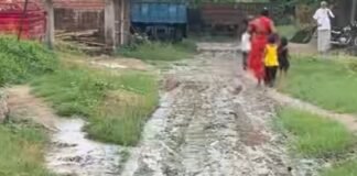 मसही गांव की सड़क बारिश से बदहाल:कीचड़-गंदगी से आवागमन ठप; सांसद-विधायक से मरम्मत की मांग
