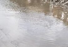 बस्ती में बारिश से सड़कों पर पानी भरा:सिहारी कोड़रा हड़िया चौराहे पर राहगीरों और दुकानदारों को परेशानी
